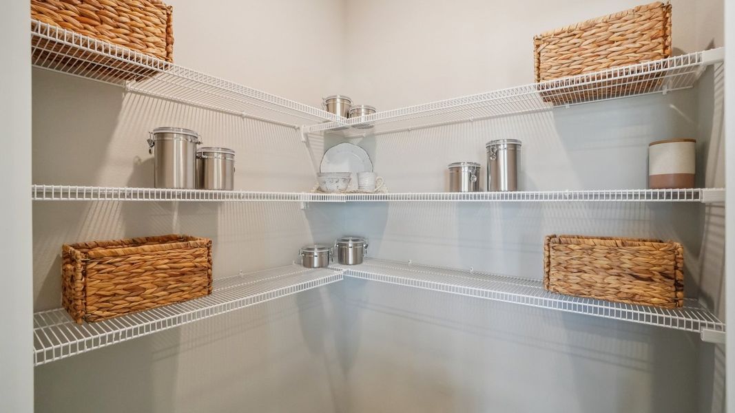 Representative interior finishes for a home built from the Madison by D.R. Horton in Summit View, Dade City (Image 20).