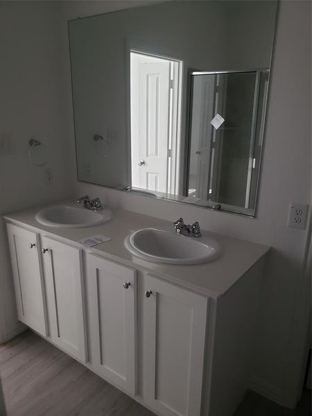 Primary Suite Double Vanity