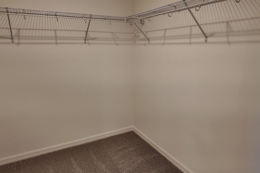 Organized Primary Bedroom Closet in Central Florida House