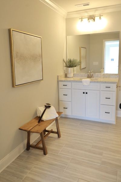 Furnished interior view inside a new home in The Abaco, Cleveland (Image 16). Furnished interior view inside a new home in The Abaco, Cleveland (Image 16).