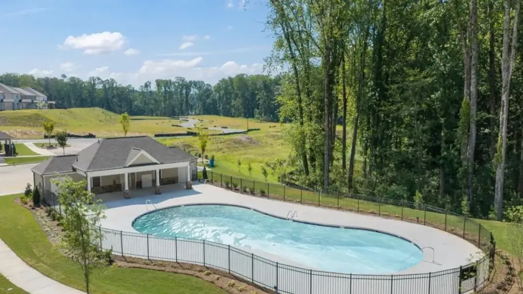 Community amenities in Grandview at Lanier, Dawsonville (Image 31).
