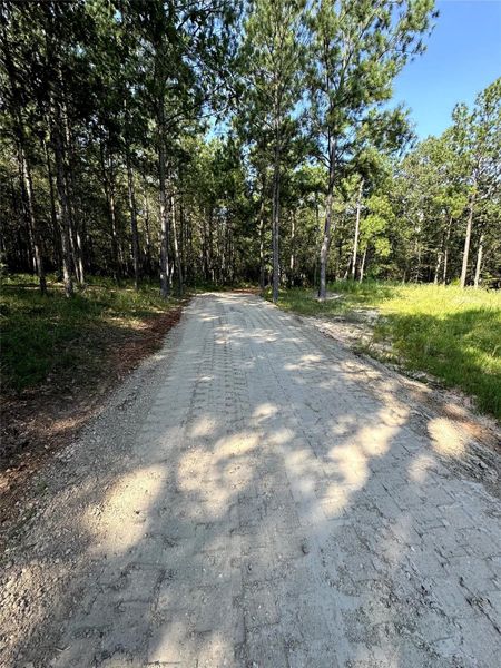 Natural landscape and outdoor views near  in Montgomery (Image 15).
