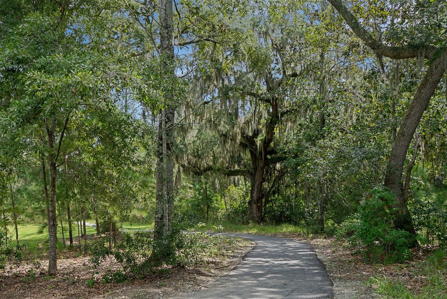 Natural landscape and outdoor views near Sea Island Preserve in Johns Island (Image 69).