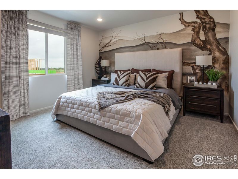 EXAMPLE PHOTO: MASATER BEDROOM