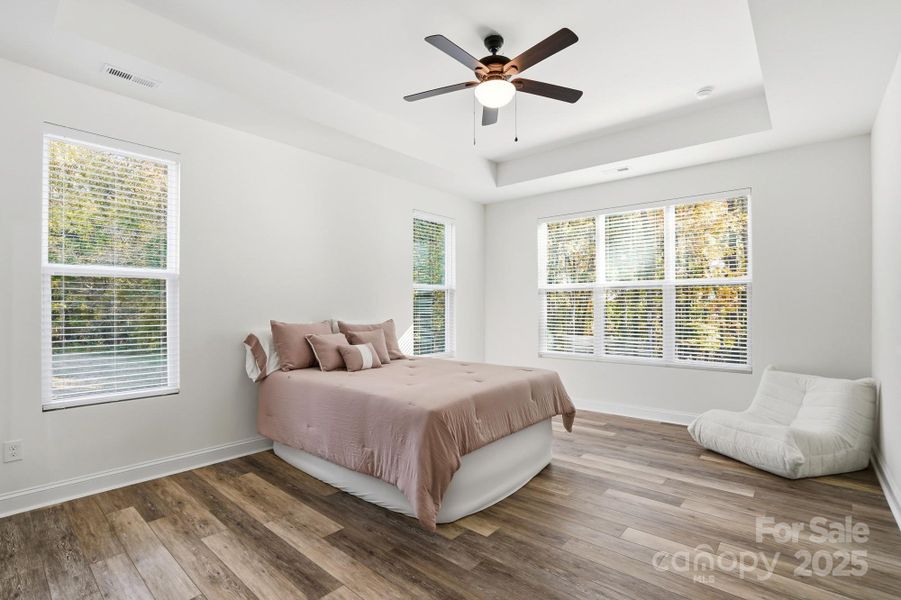 Main Floor Master/Primary with Tray Ceiling