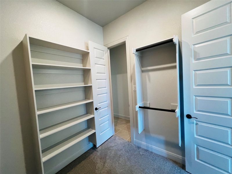 Spacious closet featuring light carpet