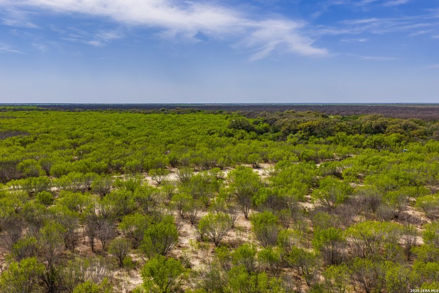 Natural landscape and outdoor views near in Crystal City (Image 24). Natural landscape and outdoor views near in Crystal City (Image 24).