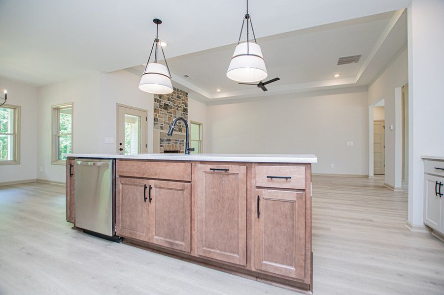 Furnished interior view inside a new home in WOODMONT RESERVE, Roopville (Image 6).