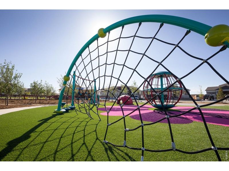 Community amenities in RainDance, Windsor (Image 28).