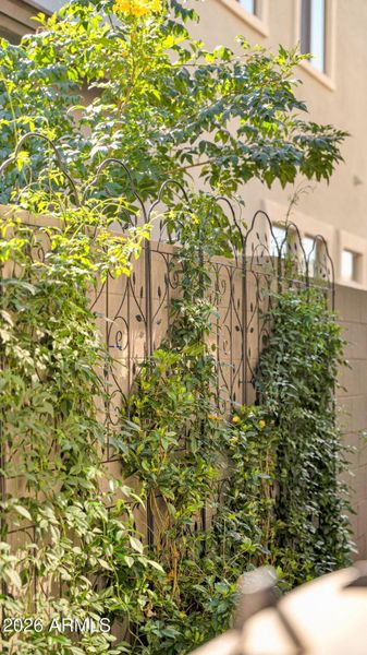 17-web-or-mls-P1486231 17-web-or-mls-P1486231