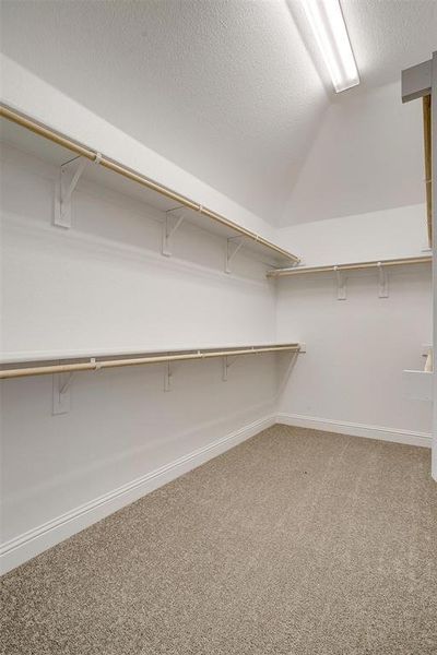 Walk in closet featuring carpet floors and lofted ceiling