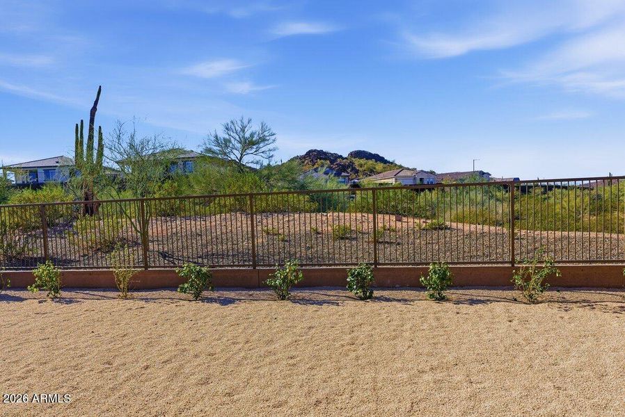 Backyard Views Backyard Views