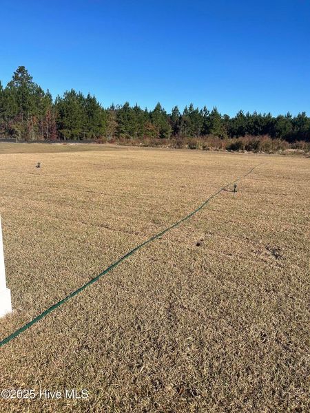 Natural landscape and outdoor views near Athens Acres in New Bern (Image 27). Natural landscape and outdoor views near Athens Acres in New Bern (Image 27).