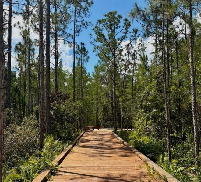 Natural landscape and outdoor views near Weslyn Park in Sunbridge 34' in St. Cloud (Image 56).