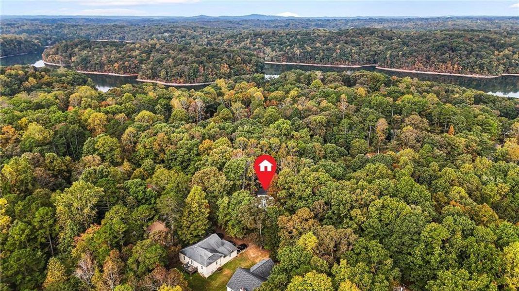 Natural landscape and outdoor views near  in Gainesville (Image 40).