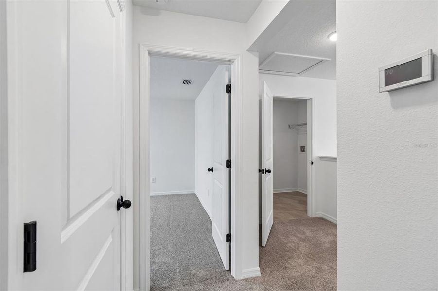 Spacious, unfurnished interior of a new home in Avalon West, Spring Hill (Image 23).