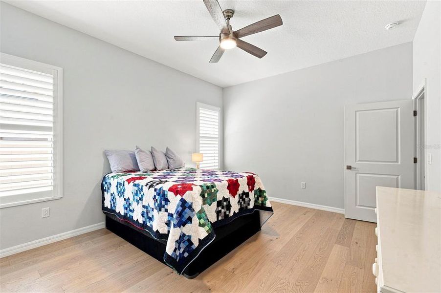 Furnished interior view inside a new home in , Dunedin (Image 19).