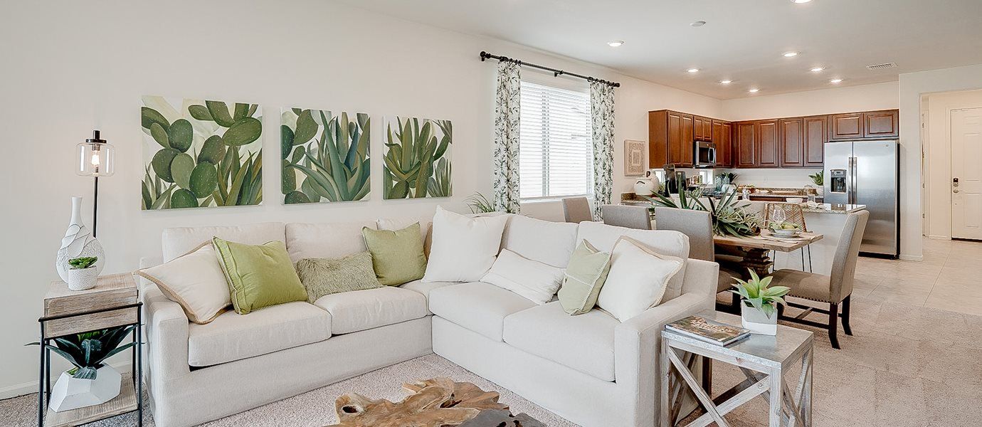 Ocotillo Residence Family Room