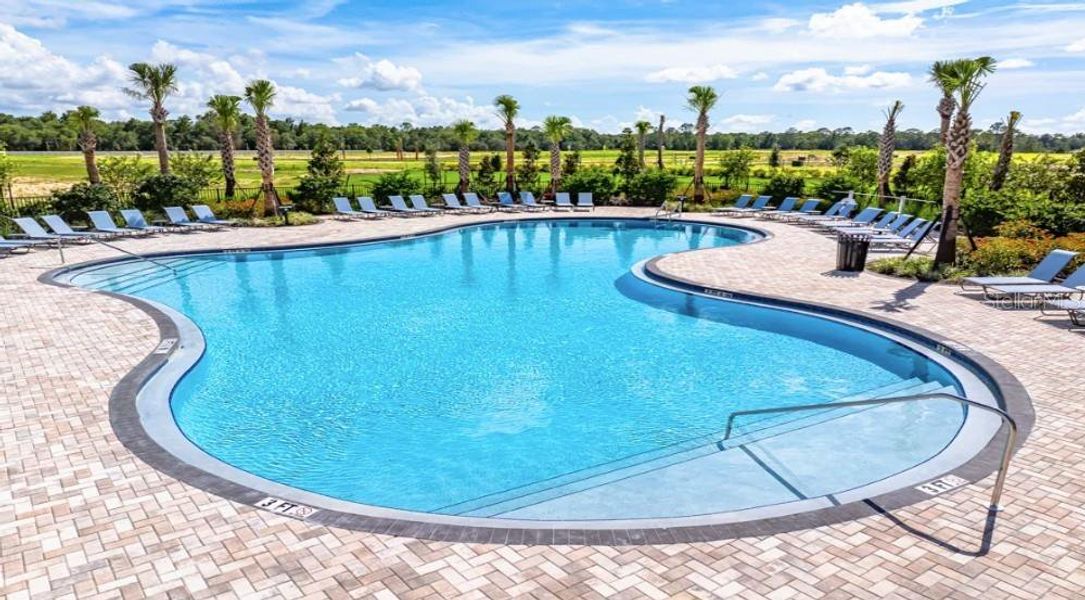 Community amenities in Palm Wind, Hudson (Image 21).