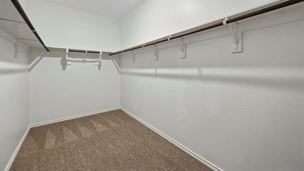 Spacious closet with carpet flooring