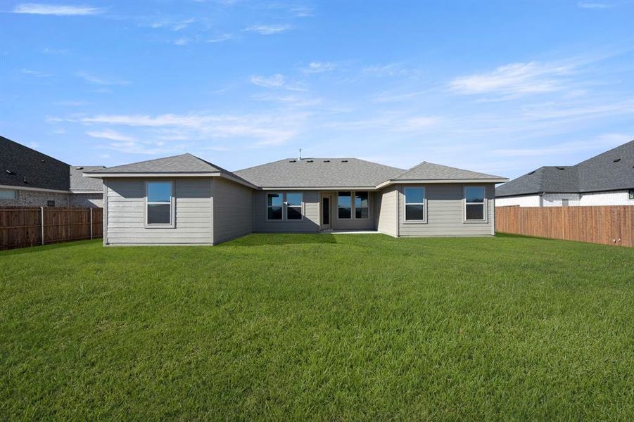 504 Diamond- Back-2 504 Diamond- Back-2