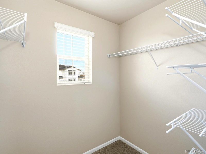 Spacious, unfurnished interior of a new home in York Station, Brighton (Image 26).