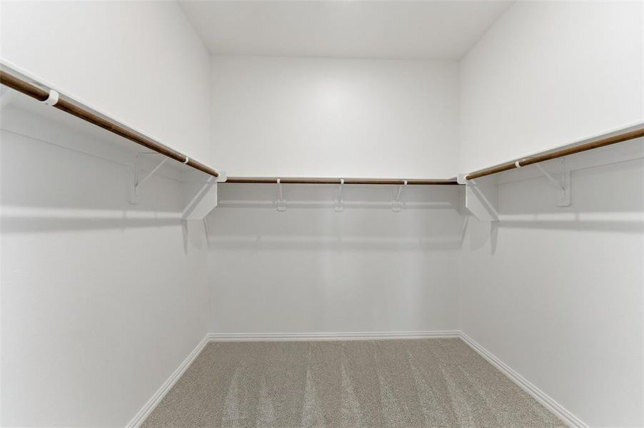 Walk-in closet featuring carpeted flooring and ample hanging space with shelving