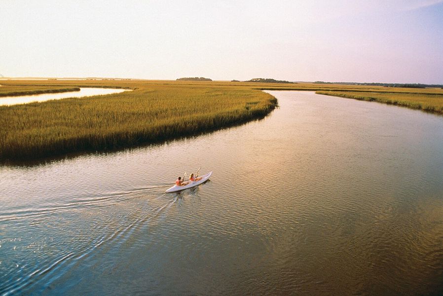 Natural landscape and outdoor views near  in Seabrook Island (Image 100).