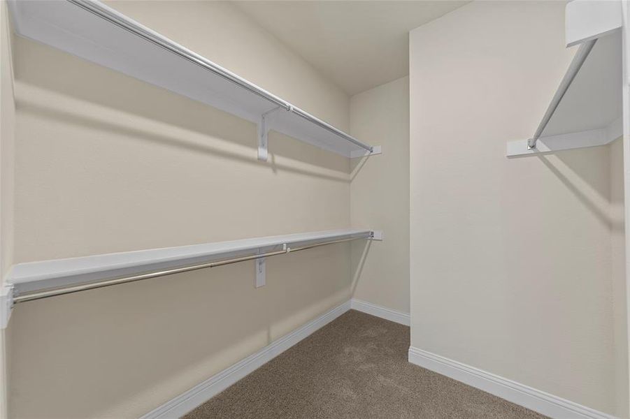 Walk in closet featuring carpet flooring