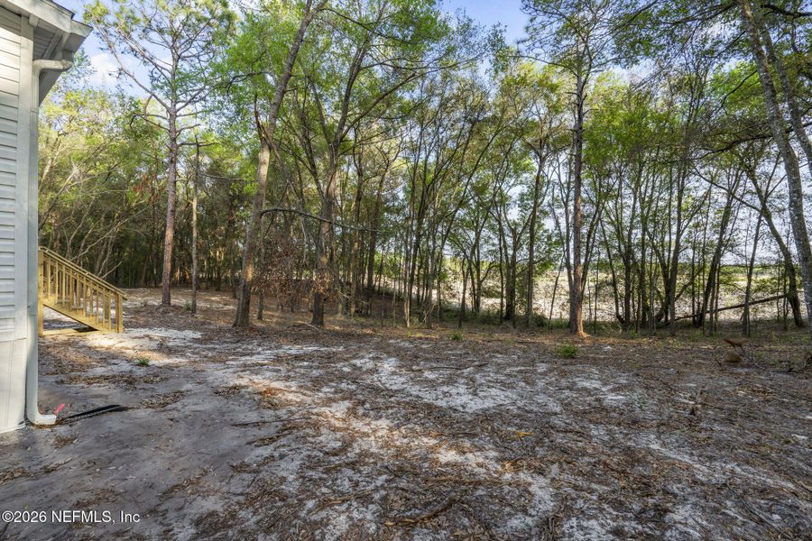 Natural landscape and outdoor views near  in Keystone Heights (Image 39).