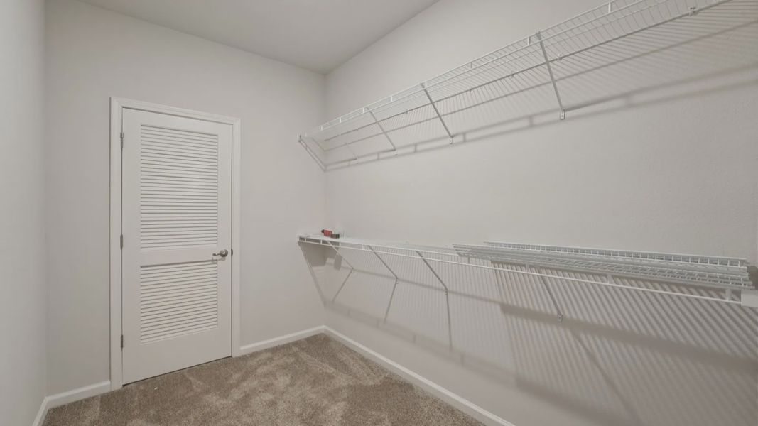 Luxurious Palm Coast walk-in closet with plush carpet and chic wire shelving at 46 Poplar Drive.