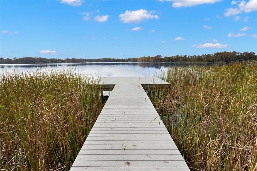 Natural landscape and outdoor views near in Land O' Lakes (Image 39). Natural landscape and outdoor views near in Land O' Lakes (Image 39).