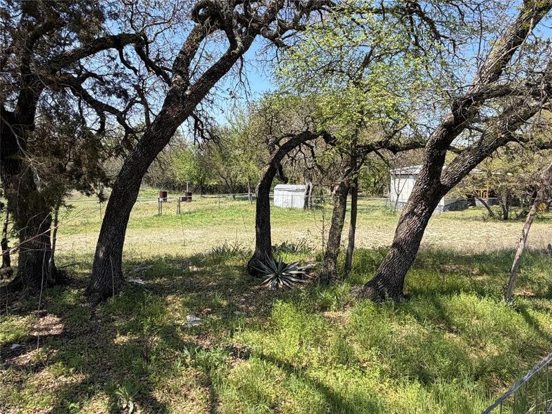 Natural landscape and outdoor views near  in Weatherford (Image 16).