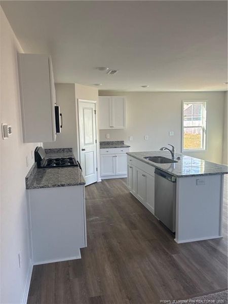 Photo taken: 9/19/2025