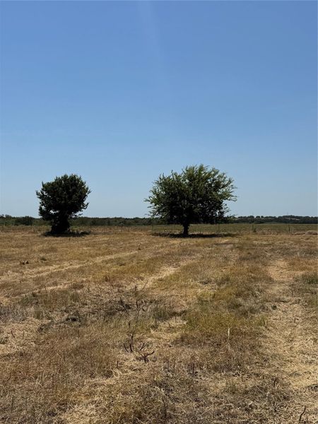 Mature trees dot this open, rustic acreage under a clear blue sky.