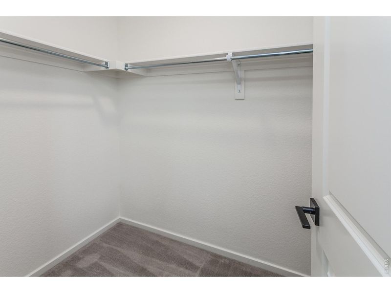 Spacious, unfurnished interior of a new home in , Fort Collins (Image 36).