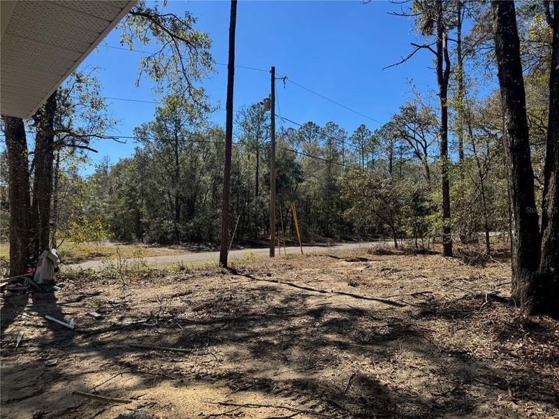 Natural landscape and outdoor views near  in Citrus Springs (Image 45).