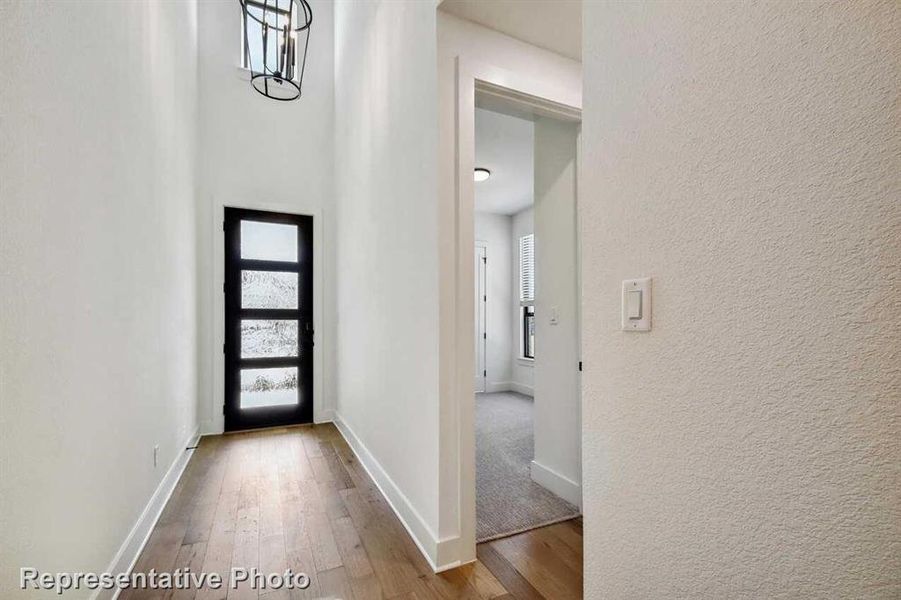 Entry (Representative Photo) Entry (Representative Photo)