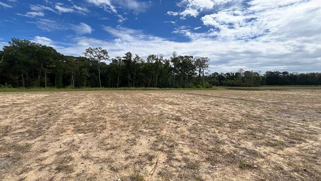 Natural landscape and outdoor views near Carolina Groves in Moncks Corner (Image 39). Natural landscape and outdoor views near Carolina Groves in Moncks Corner (Image 39).
