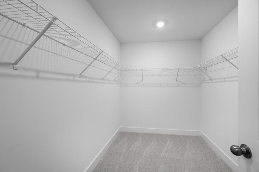 Spacious, unfurnished interior of a new home in Wellington Estates, Madison (Image 38).