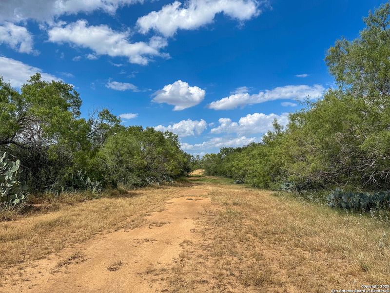 Natural landscape and outdoor views near  in Jourdanton (Image 28).