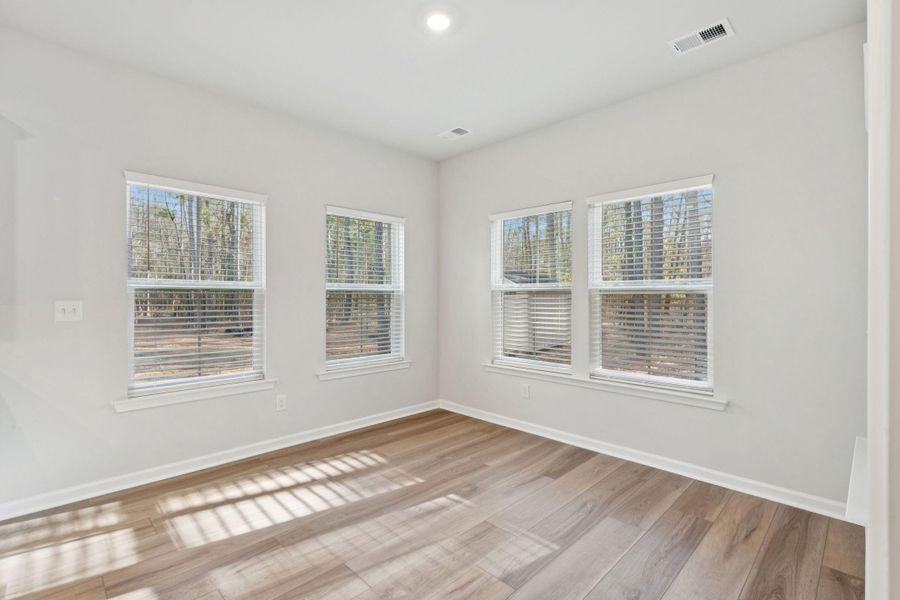 Spacious, unfurnished interior of a new home in Saint John's Lake: Arbor Collection, Johns Island (Image 47).