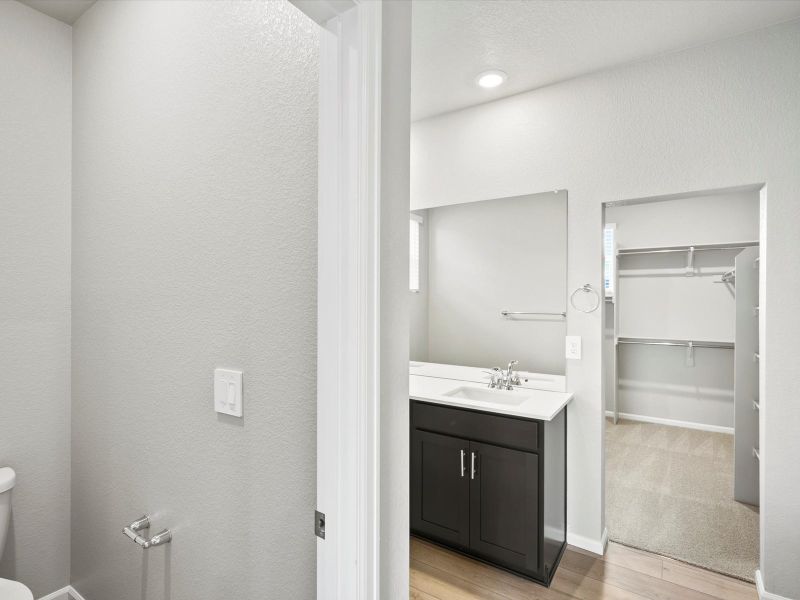 Furnished interior view inside a new home in Poudre Heights: The Alpine Collection, Windsor (Image 10).