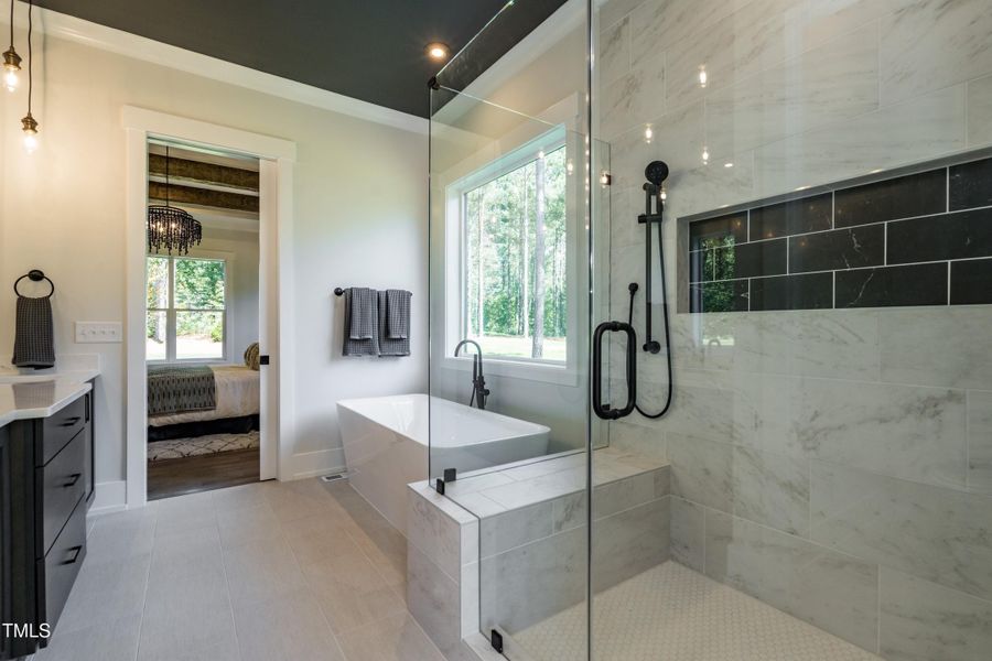 023_ Master Shower And Tub