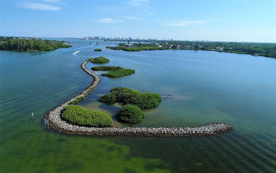 Natural landscape and outdoor views near  in Sarasota (Image 45).