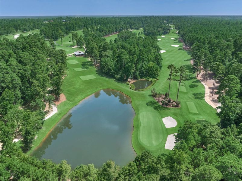 Natural landscape and outdoor views near  in Montgomery (Image 45).