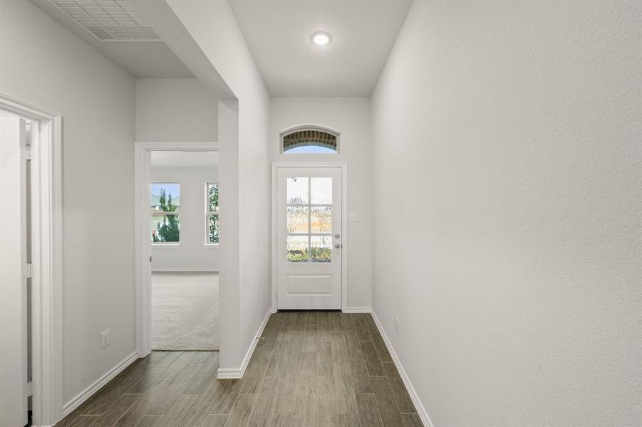 737 Scarlet Sage- Entry-1