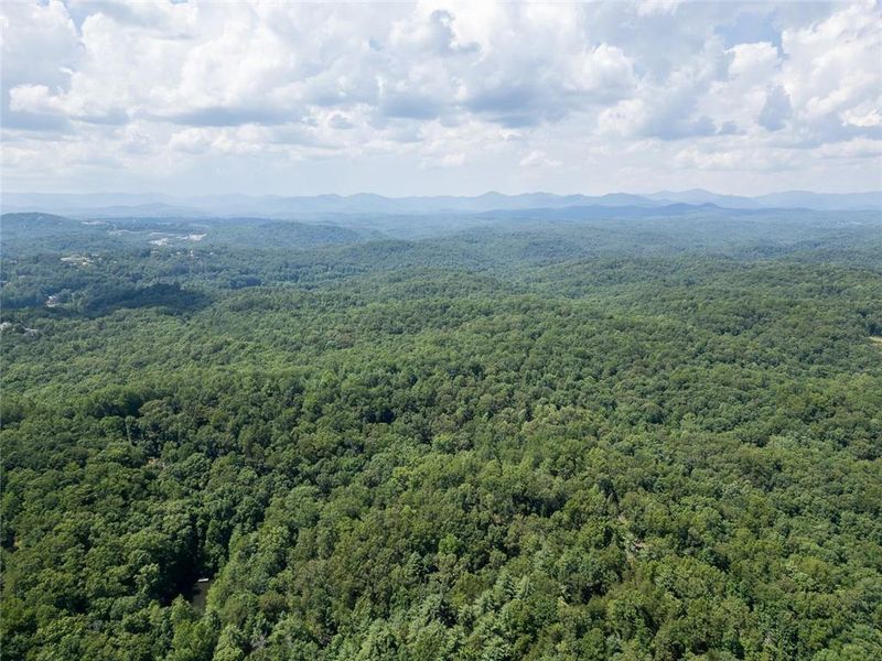 Natural landscape and outdoor views near  in Dahlonega (Image 36).