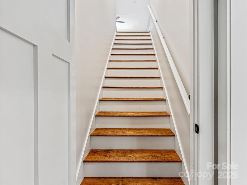 Stairway to 3rd Bedroom or F.R.O.G.