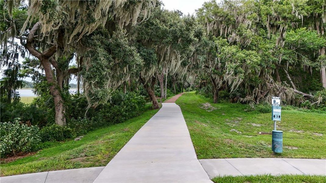 Natural landscape and outdoor views near  in Tavares (Image 35).